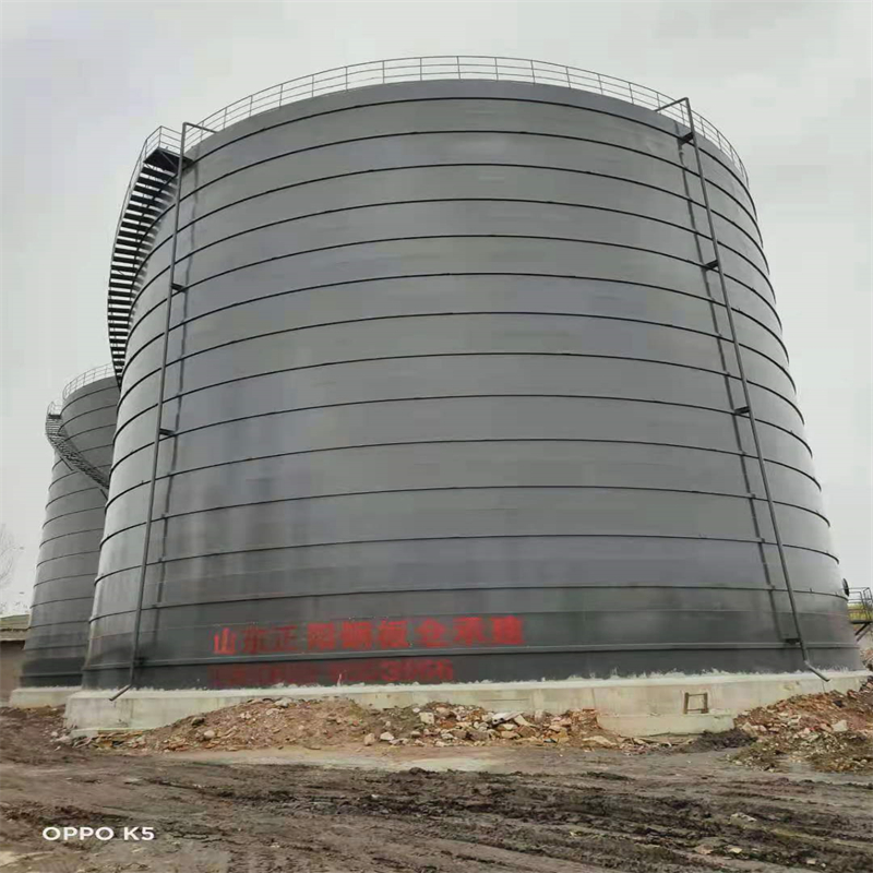 虎门港管委会3万吨大型钢板库